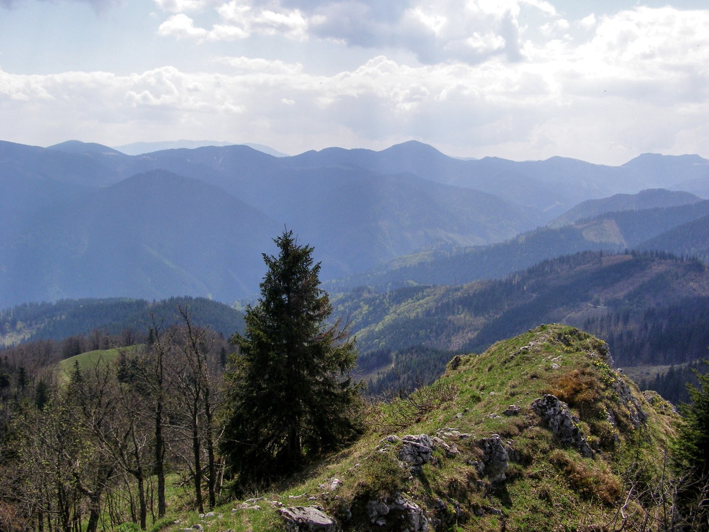 kľak