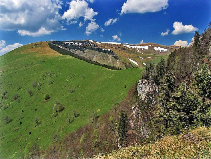 turecká